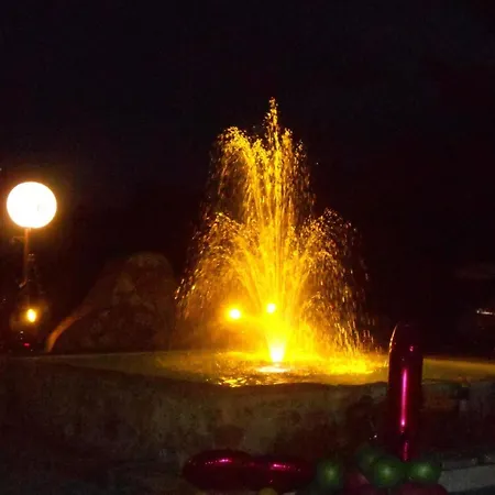 Fischione * Pucciarelli